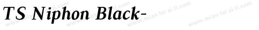 TS Niphon Black字体转换